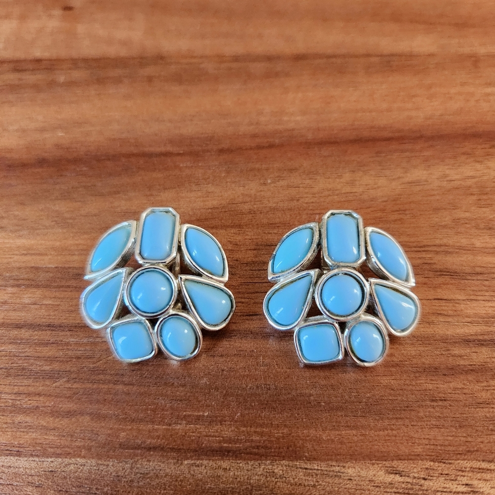 Vintage Thermoset Clip On Earrings